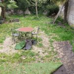 Espace vert 2025-1